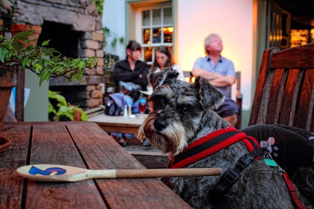 Mason'S Arms Hotel Bowland Bridge Exterior foto